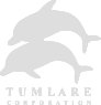 Tumlare Destination Company